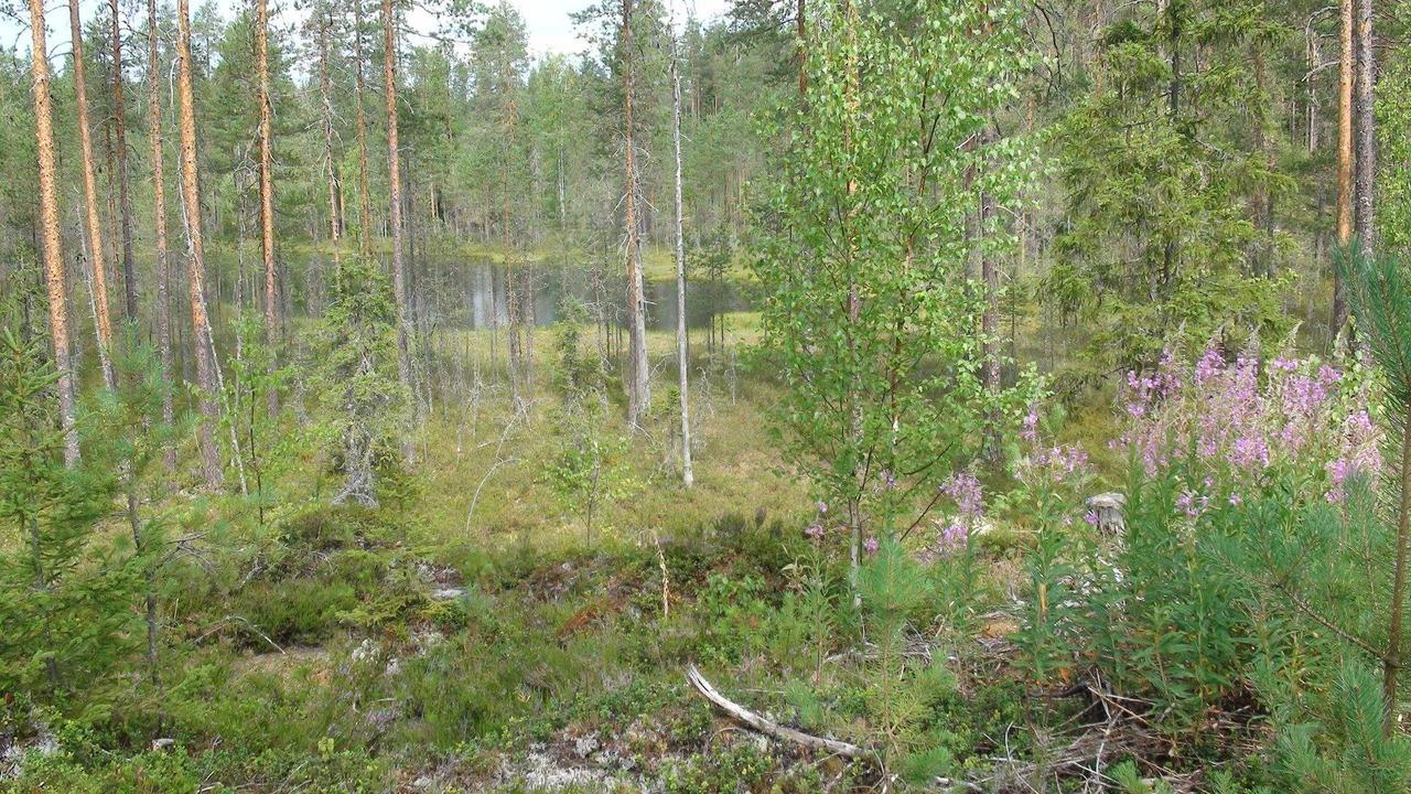 Kerimaa Golf Chalet Close To Savonlinna Kerimaki Exterior photo